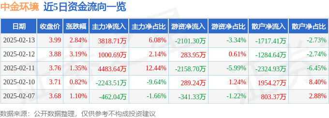 中金环境（300145）2月13日主力资金净买入381871万元(图1)